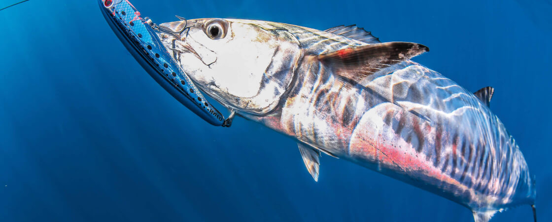 Artificial Sea Bass Fishing Bait, Lures Trolling Sea